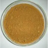 240 Kapslen Nattokinase 350 mg