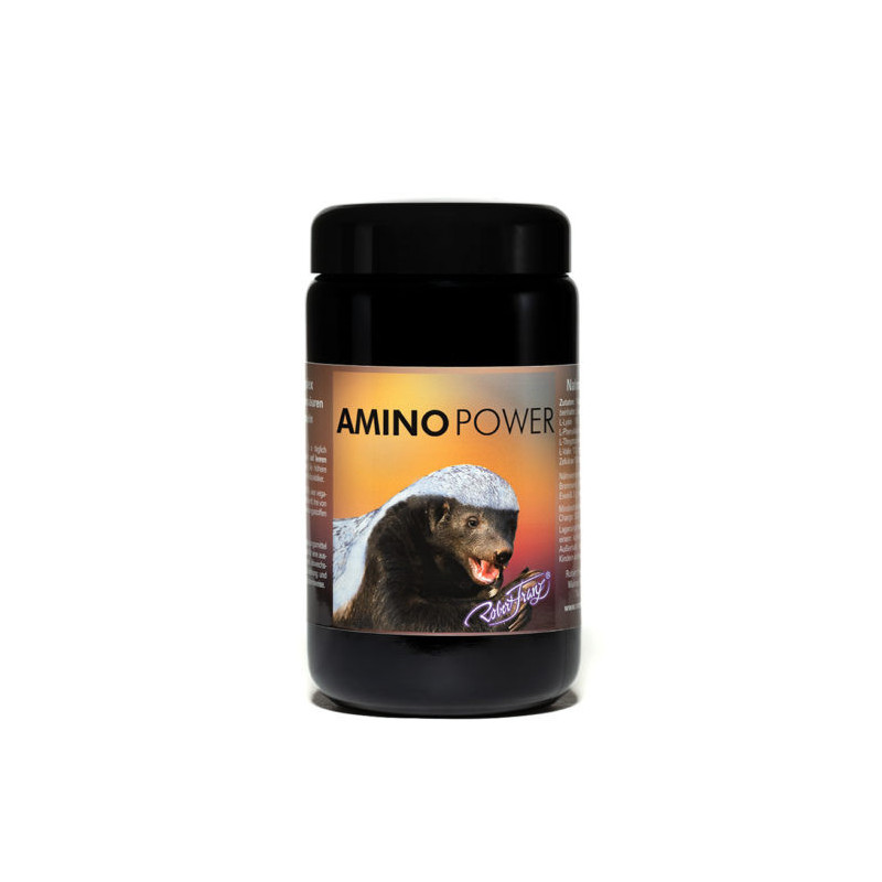 Amino Power Kapseln Amino Power Kapseln