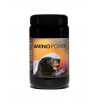 Amino Power Kapseln