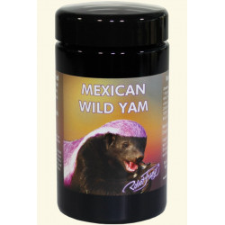 Mexican Wilde Yamswurzel
