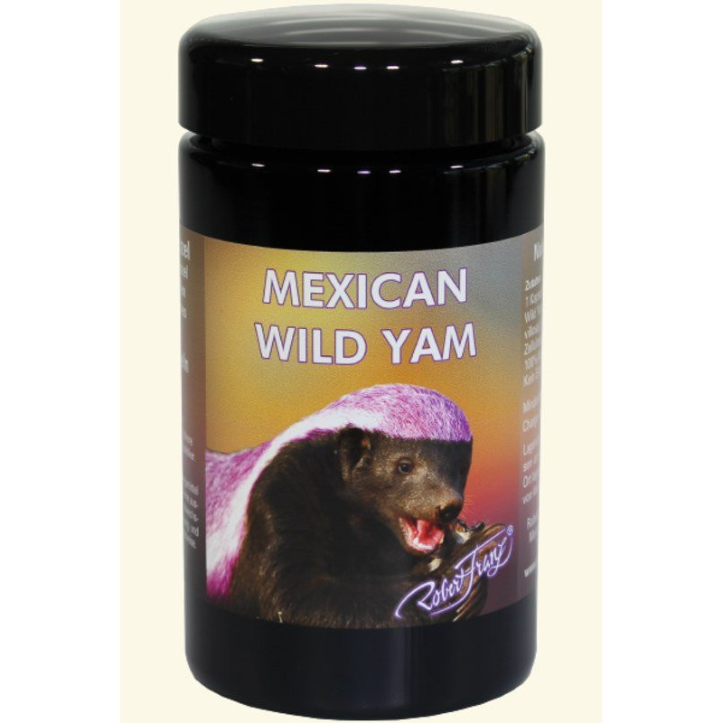 Mexican Wilde Yamswurzel Mexican Wilde Yamswurzel
