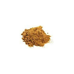 100g Chaga Pilz