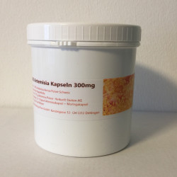 380 Artemisia annua Kapseln Schweiz 300mg