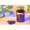 blueantox-immun  90 Kapseln