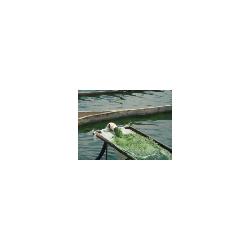 Bio Spirulina Pulver 500g Bio Spirulina Pulver 500g