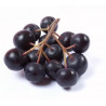 Bio Aronia Saft 1 Liter