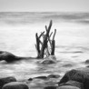 April on Rügen Torsten Geist