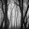 April on Rügen Torsten Geist