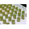 Moringa-Kapsel "Selfmade Set"