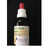 Cistus - Zistrose kba ( Griechische Bergrose)50ml
