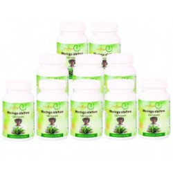 Moringa 1080 Kapseln Jahresration