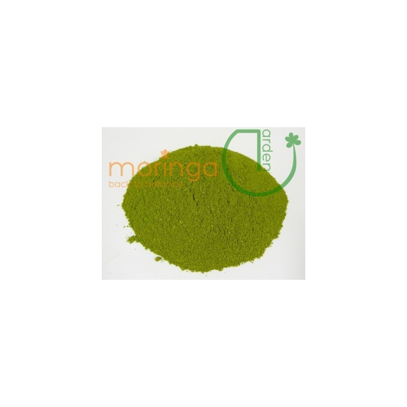 Moringa Pulver Premium 100g