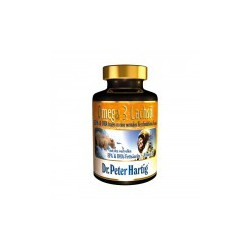 Omega 3 Lachsöl 250