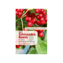 Die Schisandra Beere