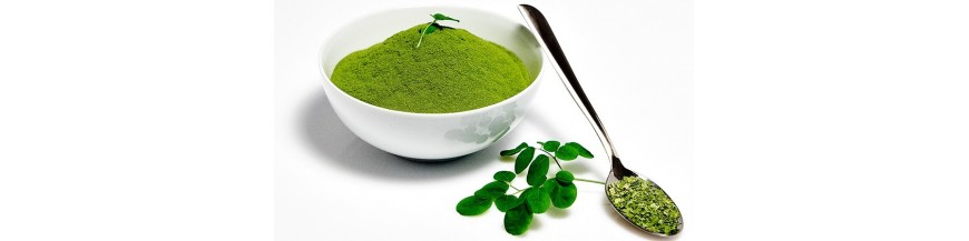 Moringa Blattpulver & Tee