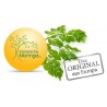 BIo Moringa Gran Canaria 